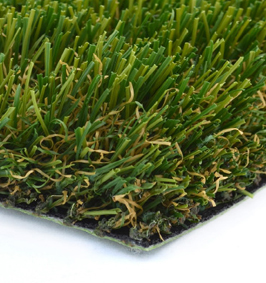 Premier Natural Swatch Turf